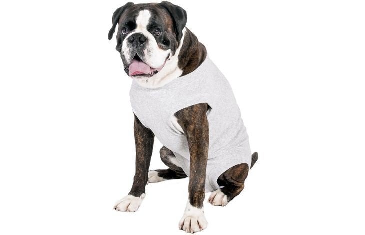 Flamingo protevtive recovery romper, Dieren en Toebehoren, Honden-accessoires, Nieuw, Ophalen of Verzenden