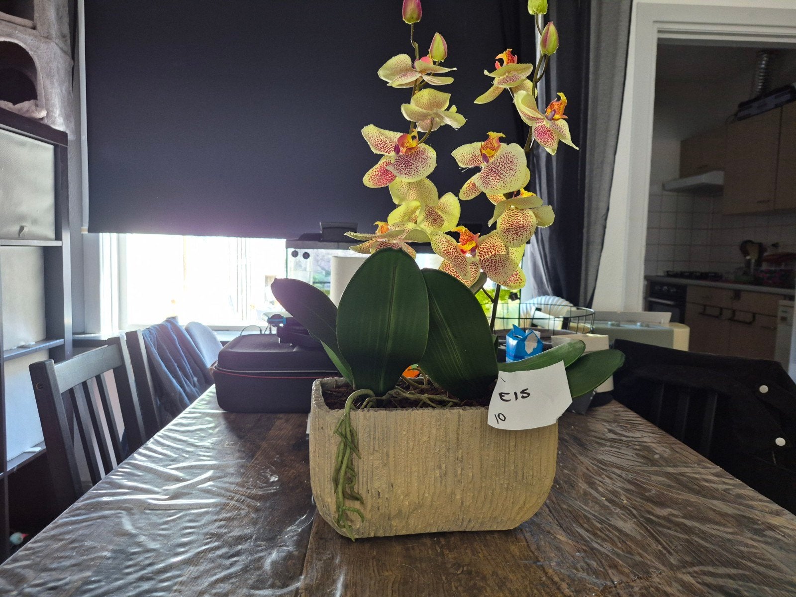 Mooie dubbele kunst orchidee, Ophalen of Verzenden, Nieuw, Binnen, Met pot of vaas