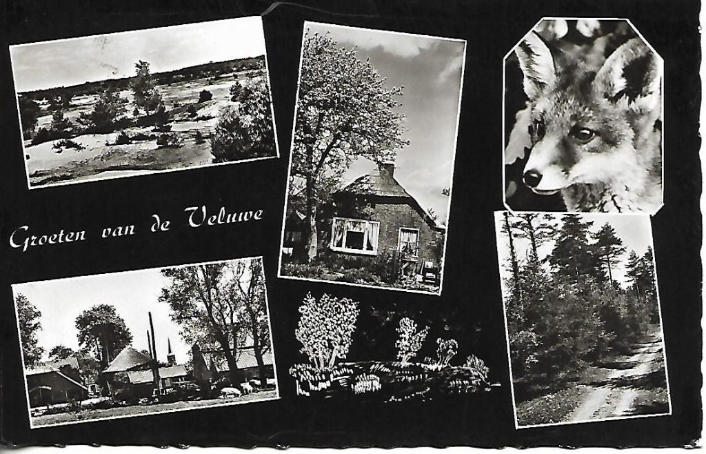 Gelderland- -5-luik., Ophalen of Verzenden, 1960 tot 1980, Gelopen, Gelderland