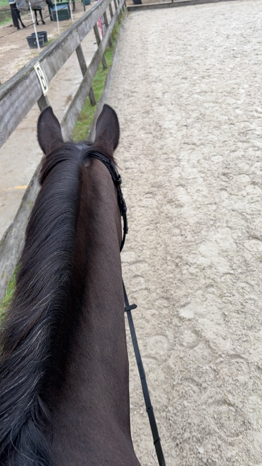 All in pensionstal gezocht!, Dieren en Toebehoren, Stalling en Weidegang, Weidegang, 1 paard of pony