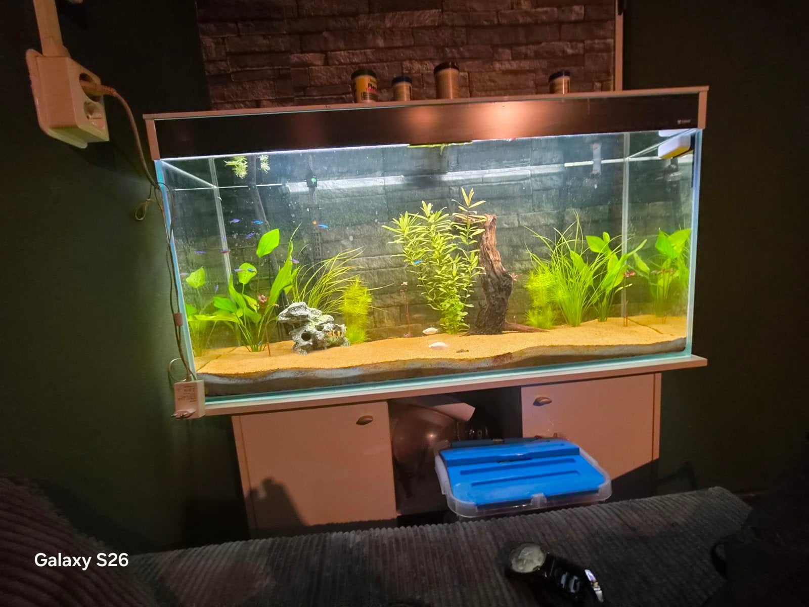 aquarium tekoop, Ophalen, Inclusief vissen, Gevuld zoetwateraquarium, Eheim