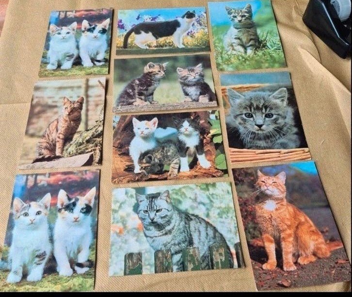 Vintage Ansichtkaarten Honden en Katten (Bundel of Losse set, Verzamelen, Ophalen of Verzenden, 1980 tot heden, Hond of Kat