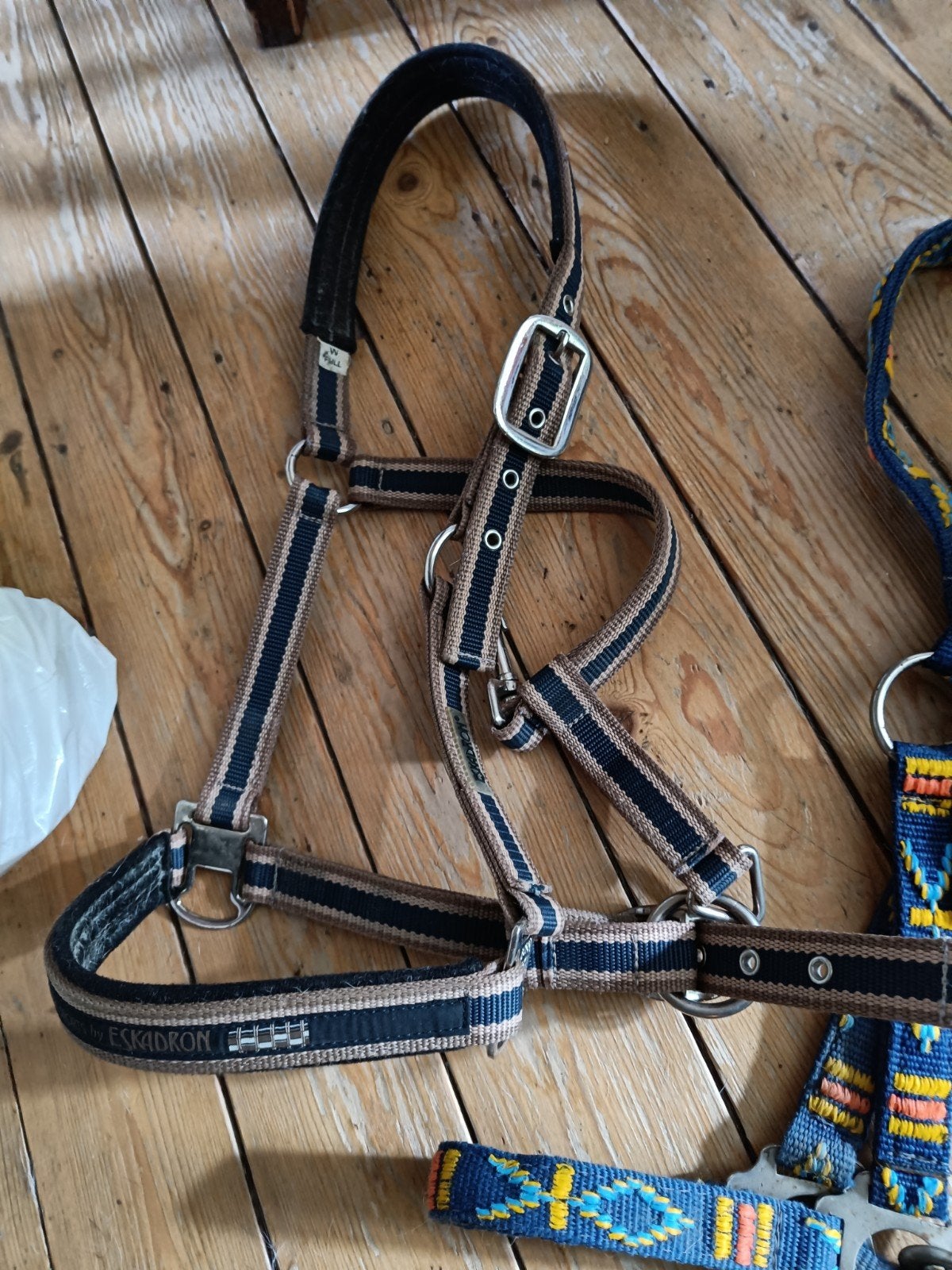 eskadron halster full,  nieuw, Nieuw, Blauw, Halster, Full