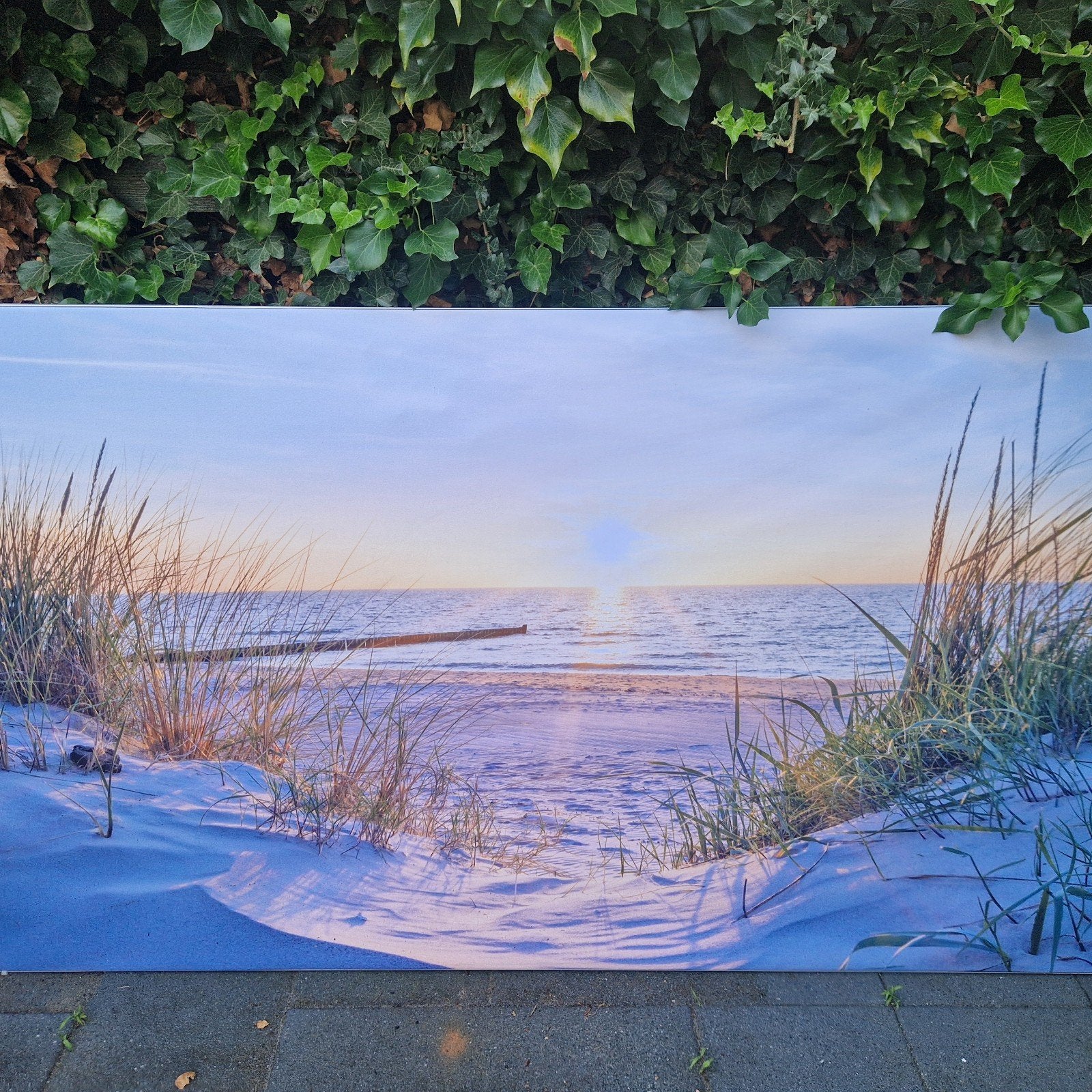 Schilderij Zonsondergang Strand Zee Canvas, Print, Landschap, Ophalen, Ingelijst