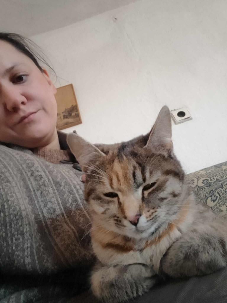BINNENKAT MALOU 2jr. Bulgarije Vriendelijk/aanhankelijk/cats, Dieren en Toebehoren, Katten en Kittens | Overige Katten, Poes, Kortharig