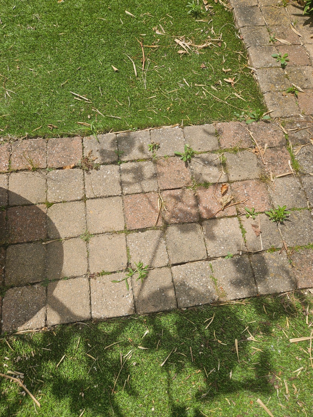 Betonsteen 14x14 terrastegel straatstenen gratis terras, Ophalen, Gebruikt, Beton, Klinkers