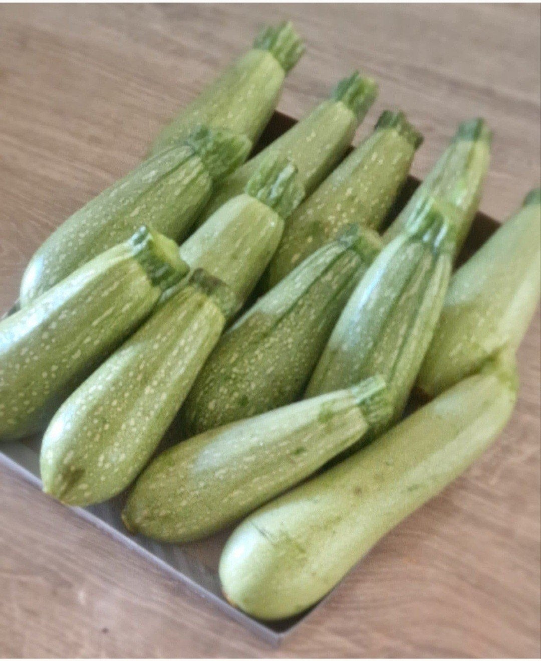 Heerlijk verse bio courgettes direct beschikbaar, Ophalen of Verzenden, Volle zon