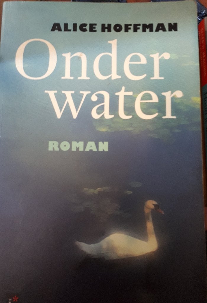 Onder Water - Alice Hoffman, Ophalen of Verzenden, Gelezen