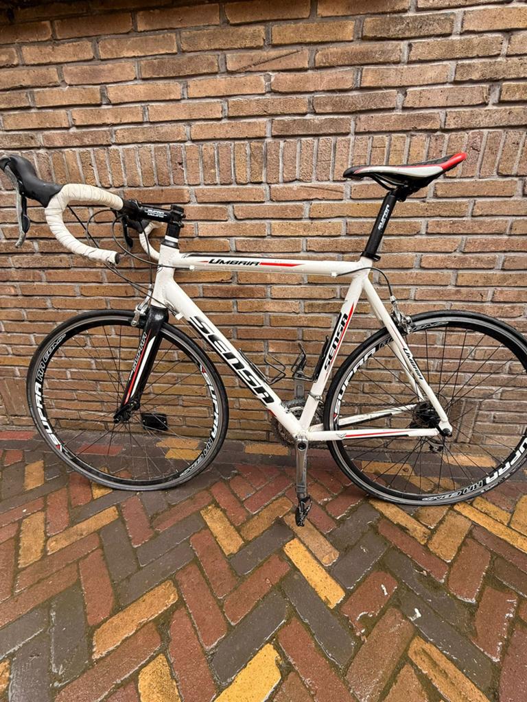 Te koop: Sensa Umbria racefiets, Overige merken, Carbon, Ophalen of Verzenden, Zo goed als nieuw