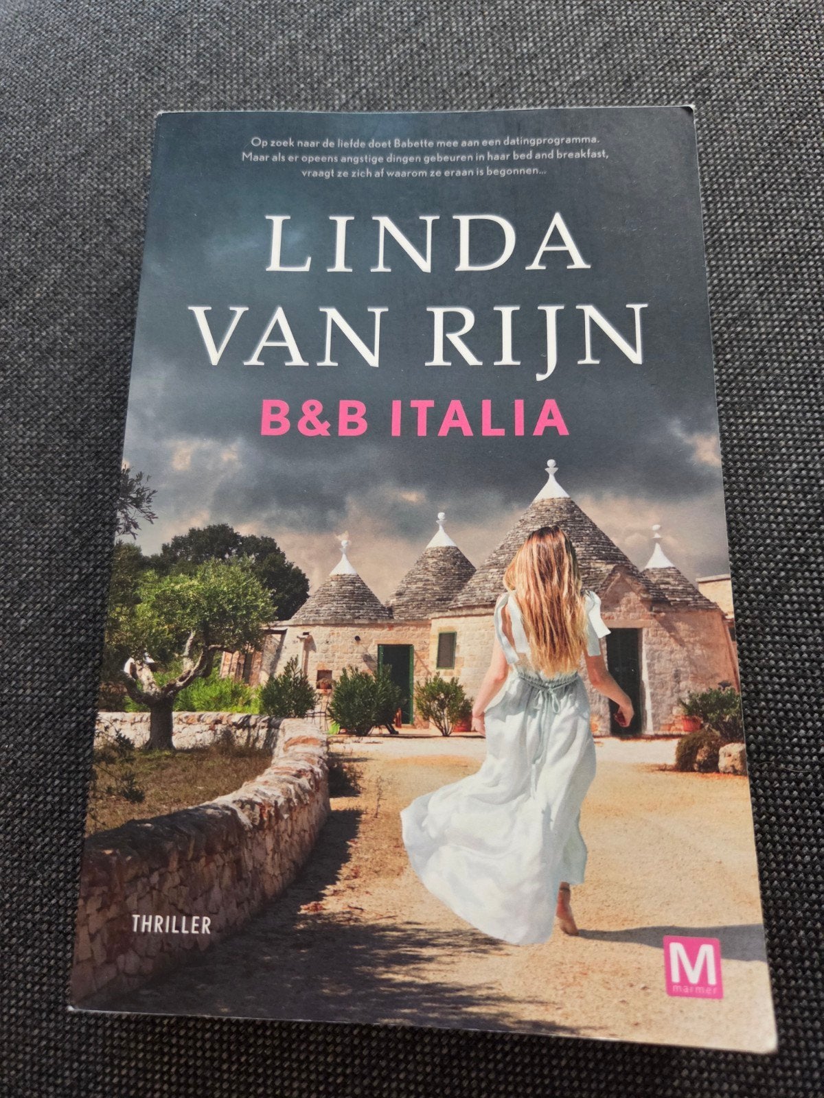 Linda van Rijn - B&B Italia, Ophalen of Verzenden, Zo goed als nieuw, Linda van Rijn