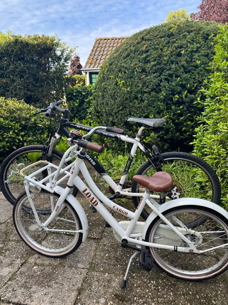 Mountainbike en transportfiets, Ophalen, Gebruikt, Overige merken