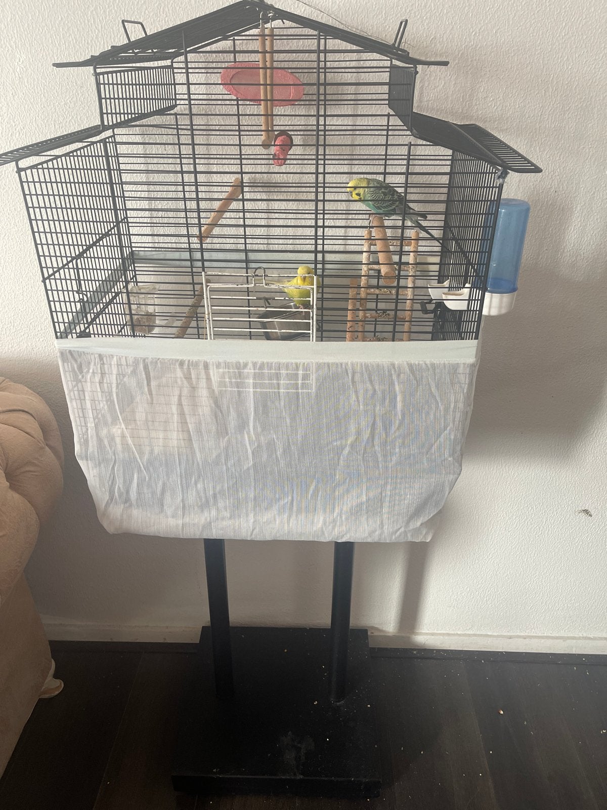 Vogel, Dieren en Toebehoren