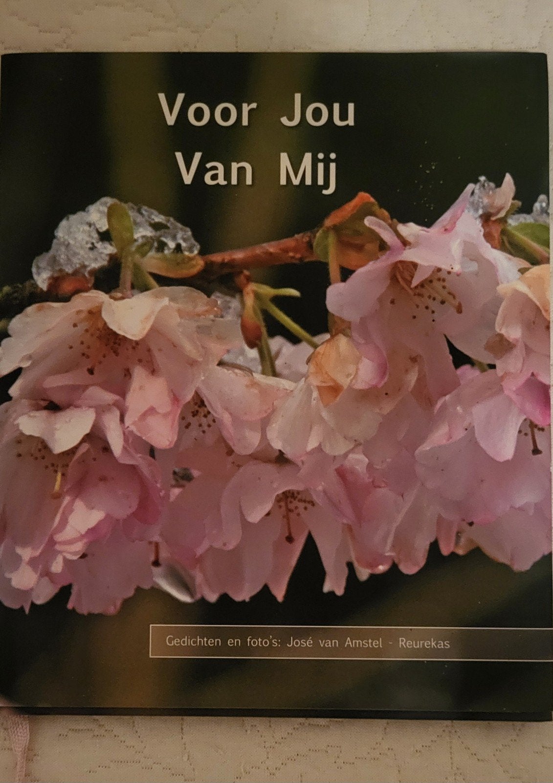 gedichten en foto's José van Amstel, Ophalen of Verzenden