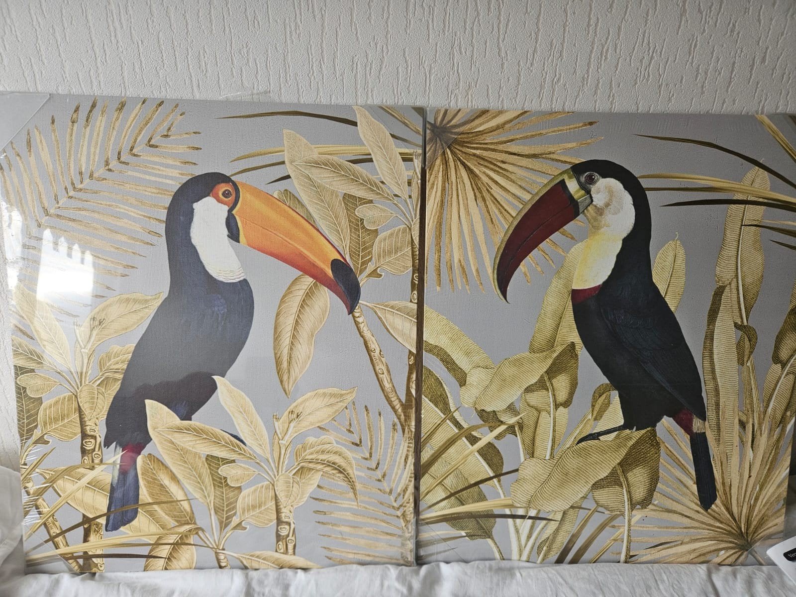 2 Mooie Grote Schilderijen Toekan 50x60cm nieuw in Verpa, Ophalen