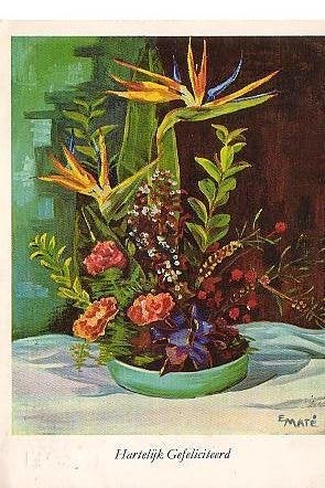 Ansichtkaart 	Bloemen	Strelitzia, Verzenden, 1960 tot 1980, Gelopen, Natuur