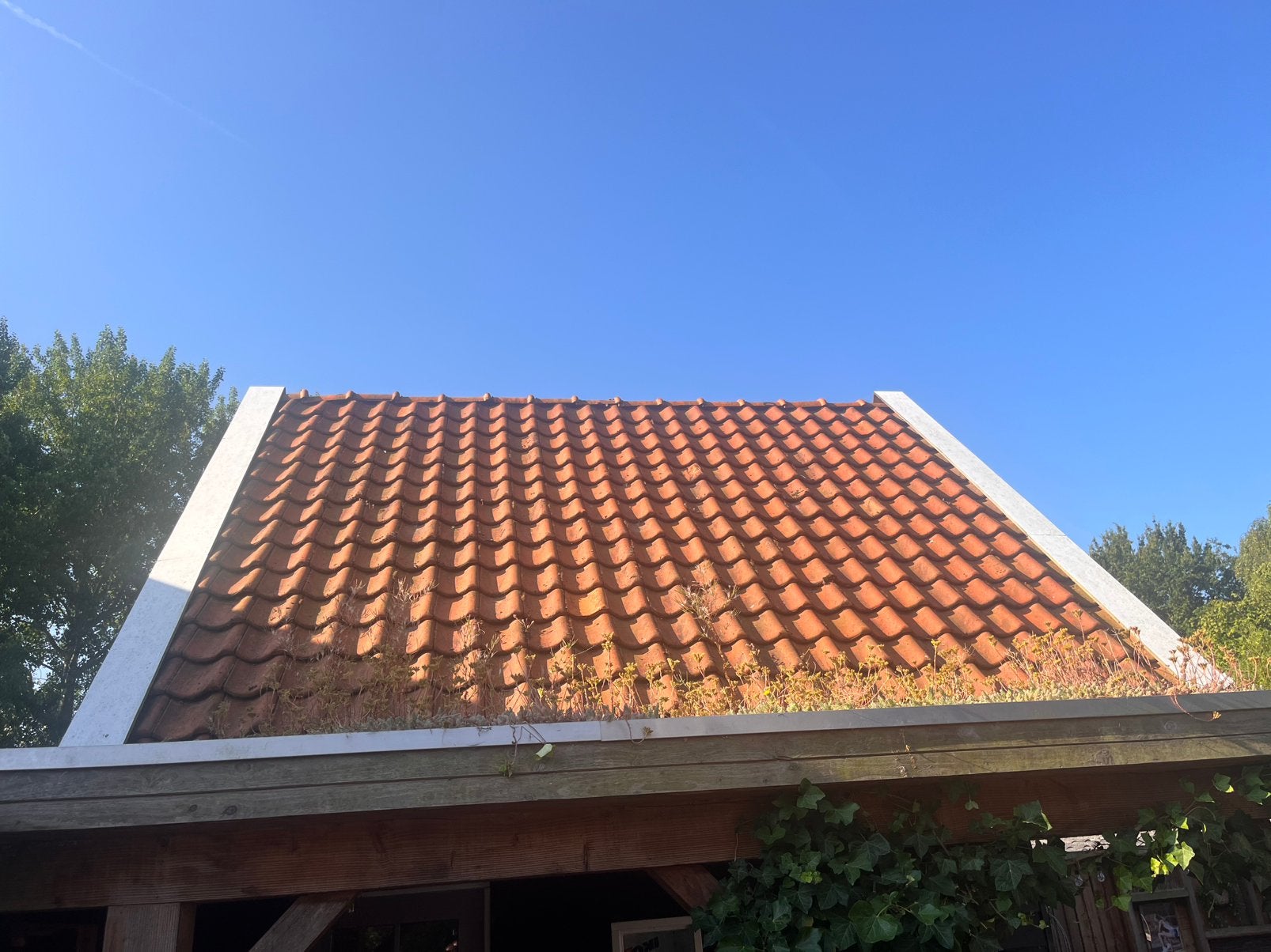 Dakpannen, Ophalen, Gebruikt, Steen of Klei, 15 m² of meer