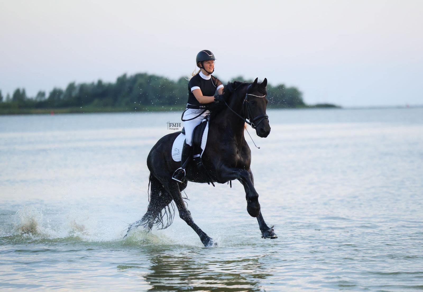 Te koop: Prachtige Friese ruin met sportpredicaat – 8 jaar, Ruin, Dressuurpaard