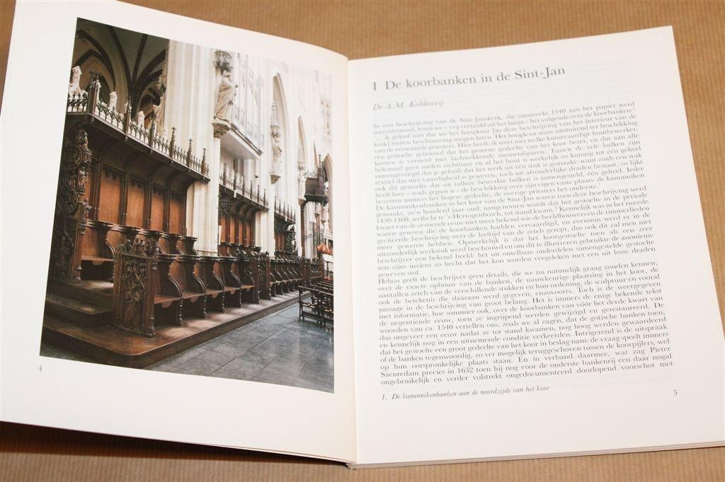 De Koorbanken Sint-Janskathedraal — A.M. Koldeweij, Ophalen of Verzenden, Gelezen