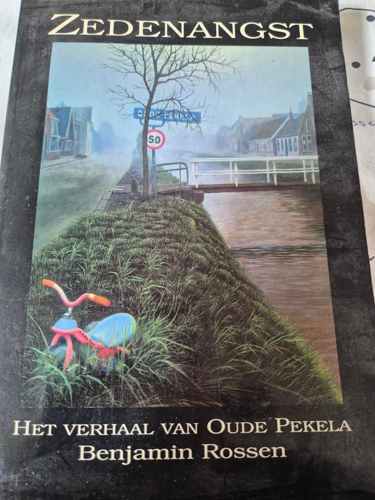 Zedenangst: Het Verhaal van Oude Pekela - Benjamin Rossen, Ophalen of Verzenden, Gelezen, Benjamin Rossen, Nederland