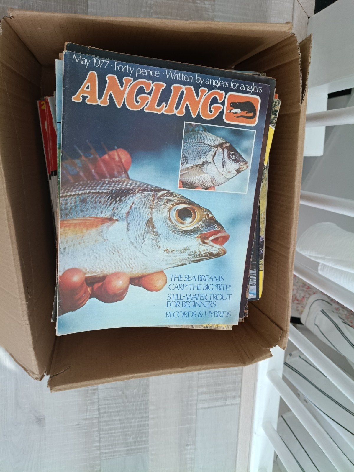 Gratis - Engelse vis tijdschriften, Ophalen, Gebruikt, Boek of Tijdschrift