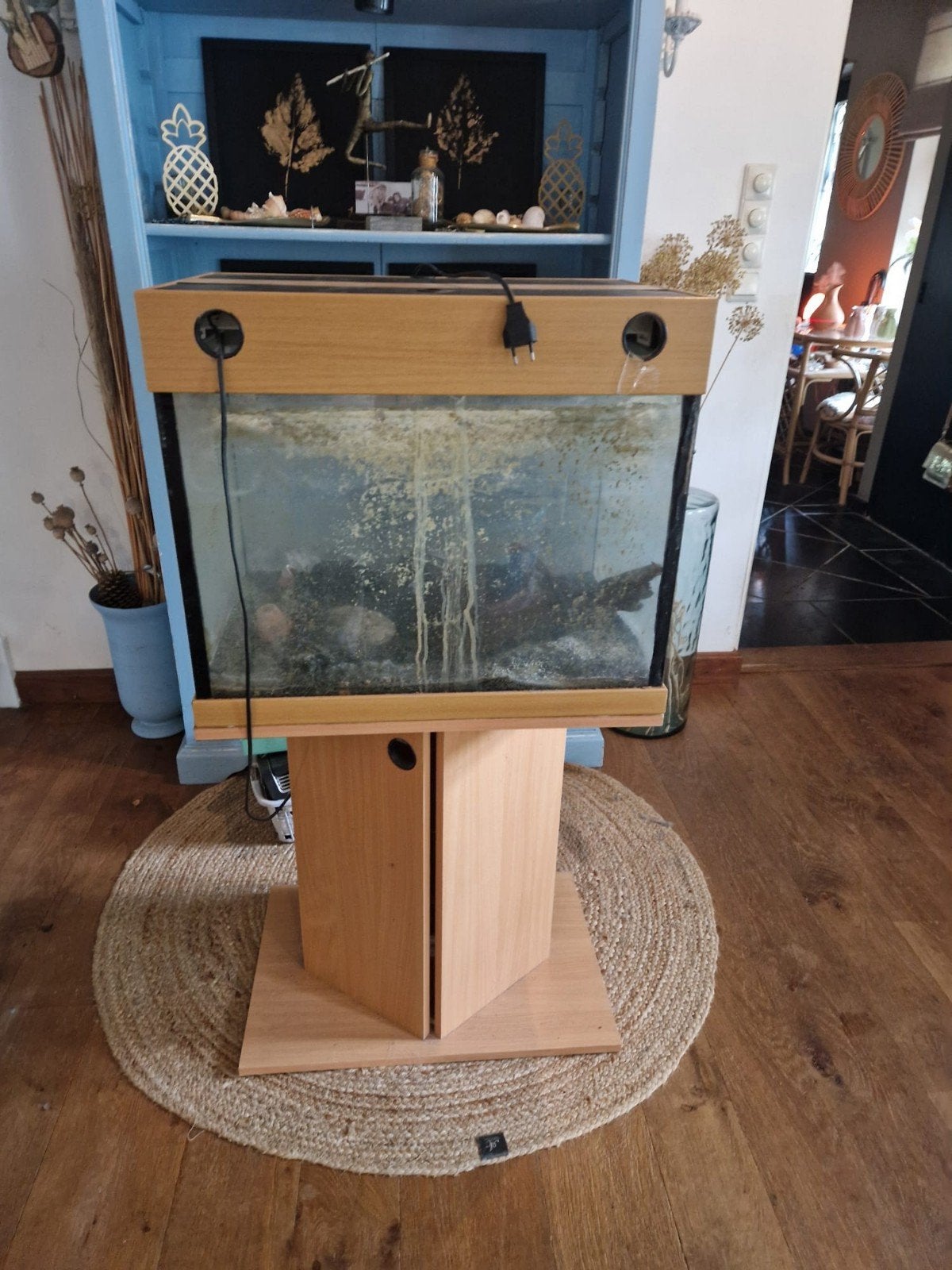60x60x40 met standaard, Ophalen, Inclusief deksel, Gebruikt, Leeg aquarium