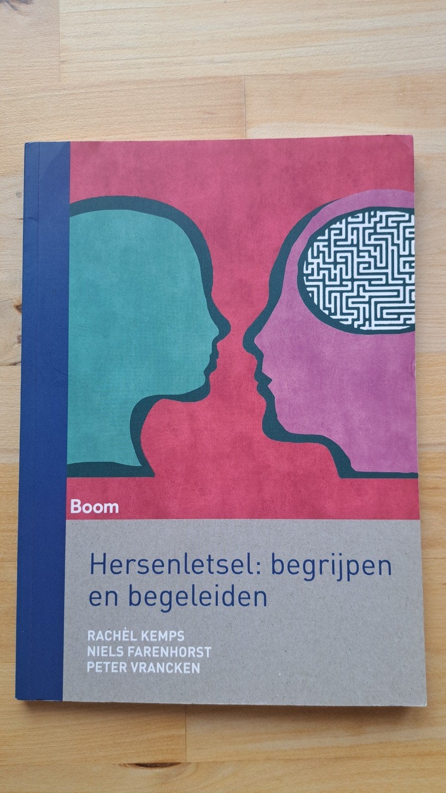 Hersenletsel: begrijpen en begeleiden - Studieboek, Boeken, Zo goed als nieuw, HBO, Ophalen of Verzenden, Gamma