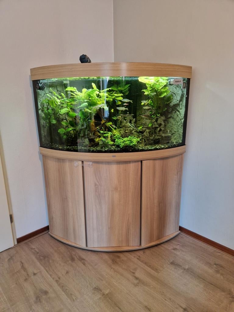 Moet weg! Juwel Trigon 350L aquarium Led nieuw type, Dieren en Toebehoren, Ophalen, Gebruikt, Gevuld zoetwateraquarium