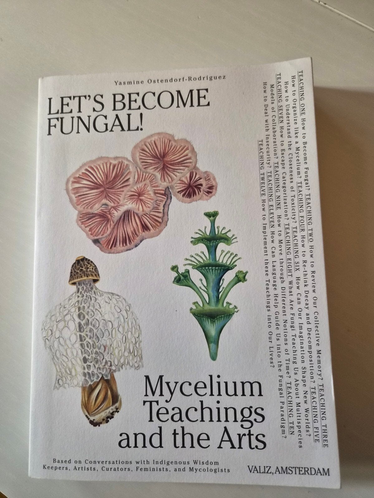 Boek/Book Let's Become Fungal! Yasmine Ostendorf-Rodríguez, Ophalen of Verzenden, Zo goed als nieuw, Yasmine Ostendorf-Rodríguez