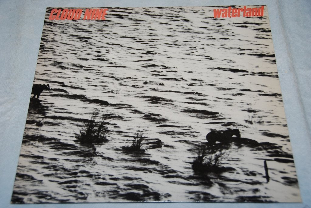 Cloud Nine – Waterland LP Vinyl, LP, Gebruikt, Ophalen of Verzenden, 12 inch