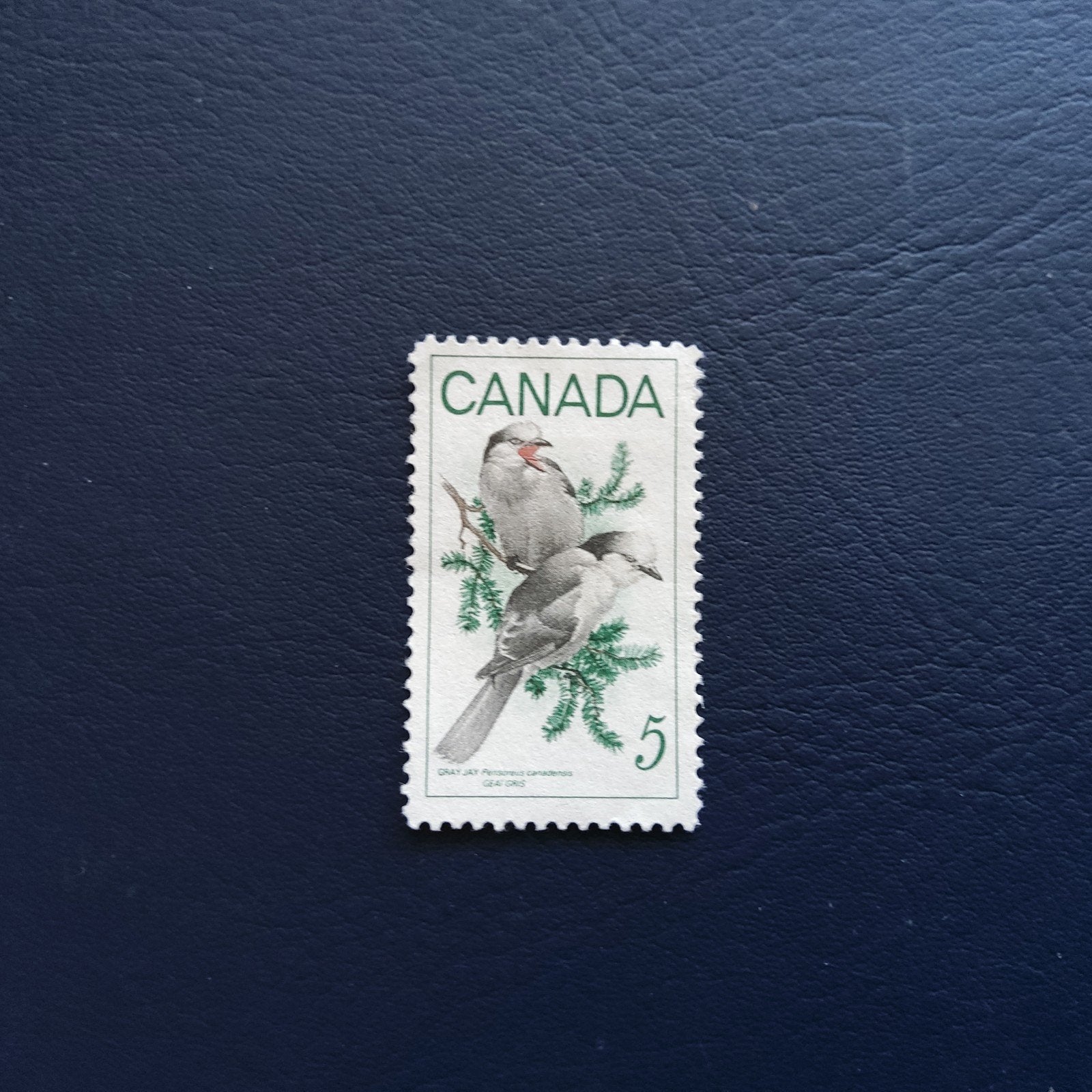 Canada postzegel met vogels - 5 cent, Ophalen of Verzenden