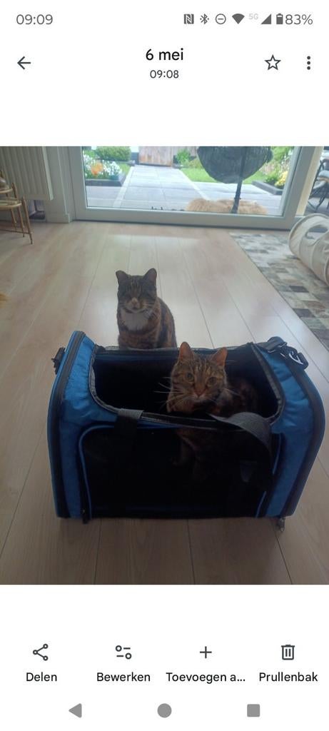 Stevige reismand kat / kleine hond 50x30x30, Ophalen, Zo goed als nieuw