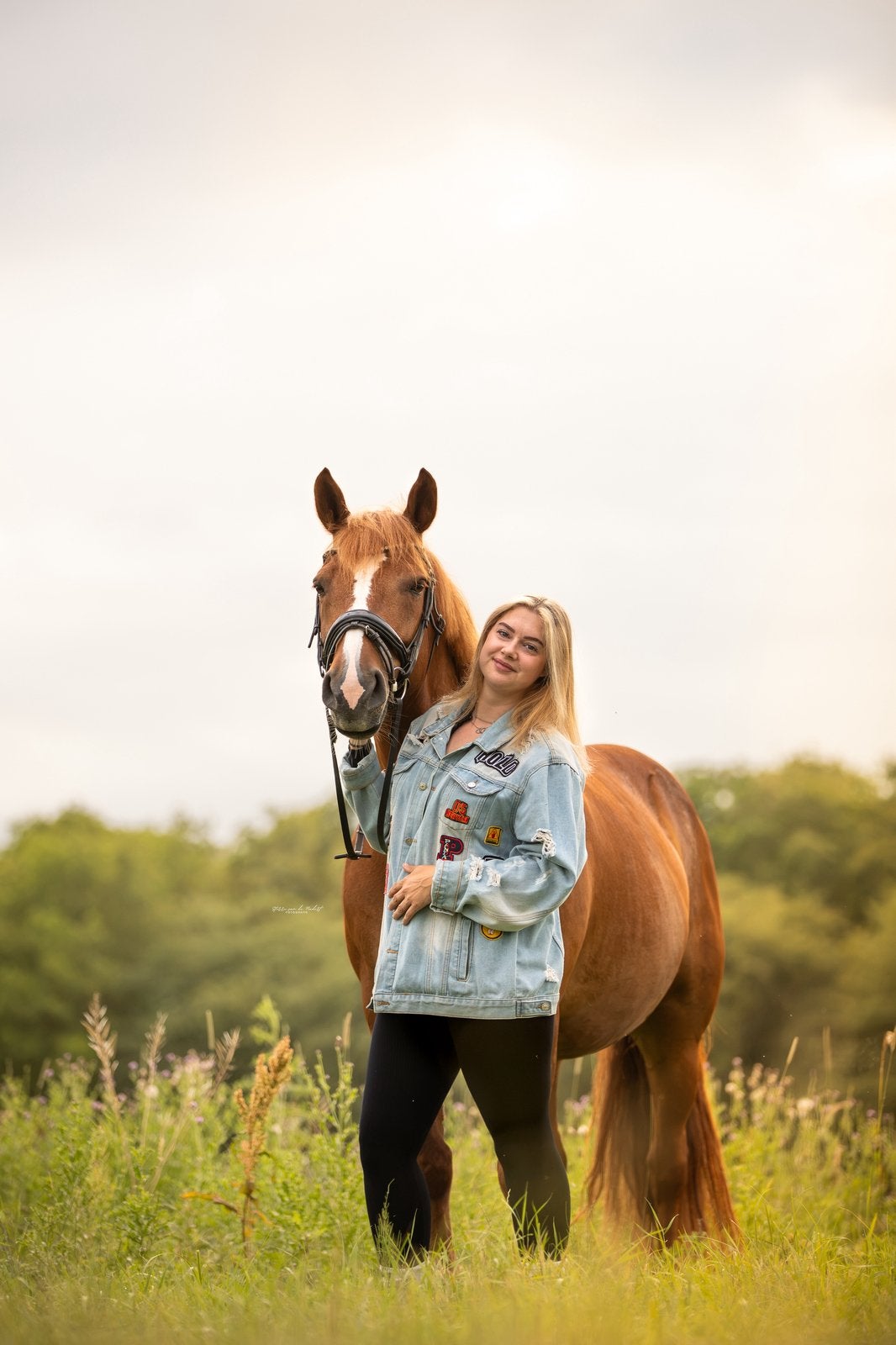 Gezocht rijbak, Dieren en Toebehoren