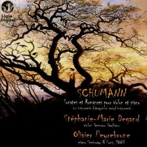 NIEUW Schumann: Sonates et Romances / Degand, Peyrebrune, Inclusief boekje, Kamermuziek, Ophalen of Verzenden, Romantiek