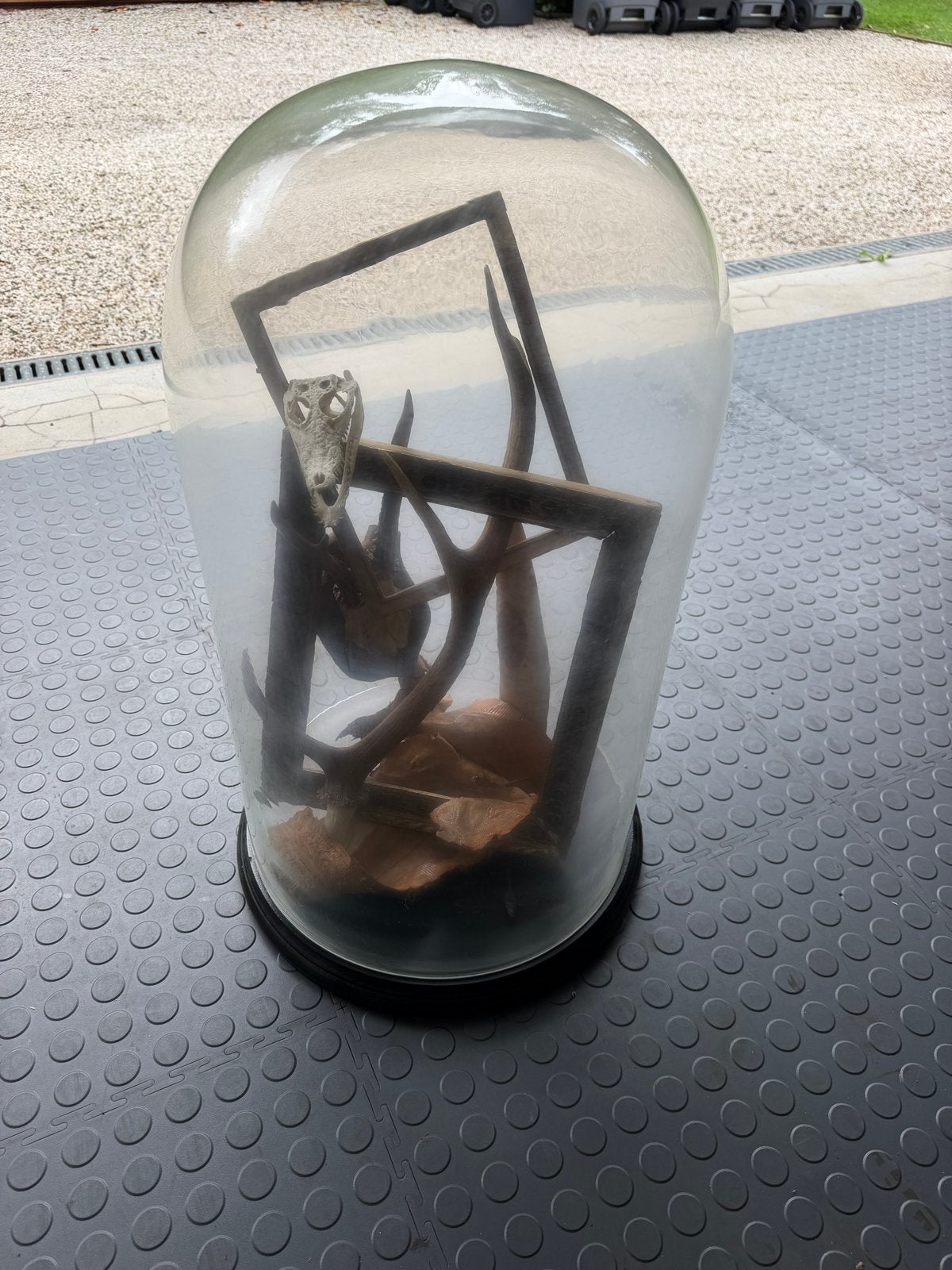 Grote glazen stolp met decoratieve inhoud, Ophalen