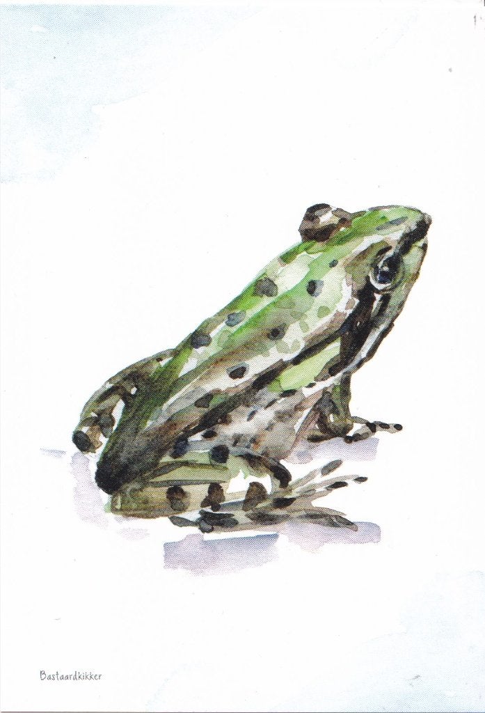Michelle Dujardin - Landgoed Haarzuilens – bastaardkikker, Verzenden, 1980 tot heden, Ongelopen, Natuur