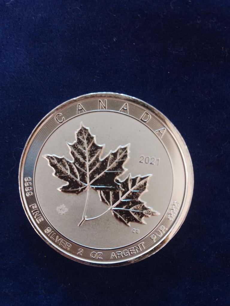 Maple Leaf 2021 2 oz zilver, Ophalen of Verzenden, Zilver