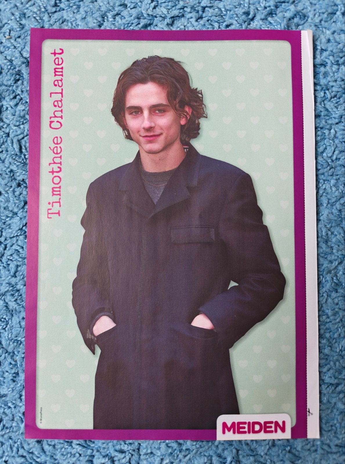 Timothée Chalamet poster meiden magazine, Rechthoekig Staand, A4 of kleiner, Nieuw, Ophalen of Verzenden