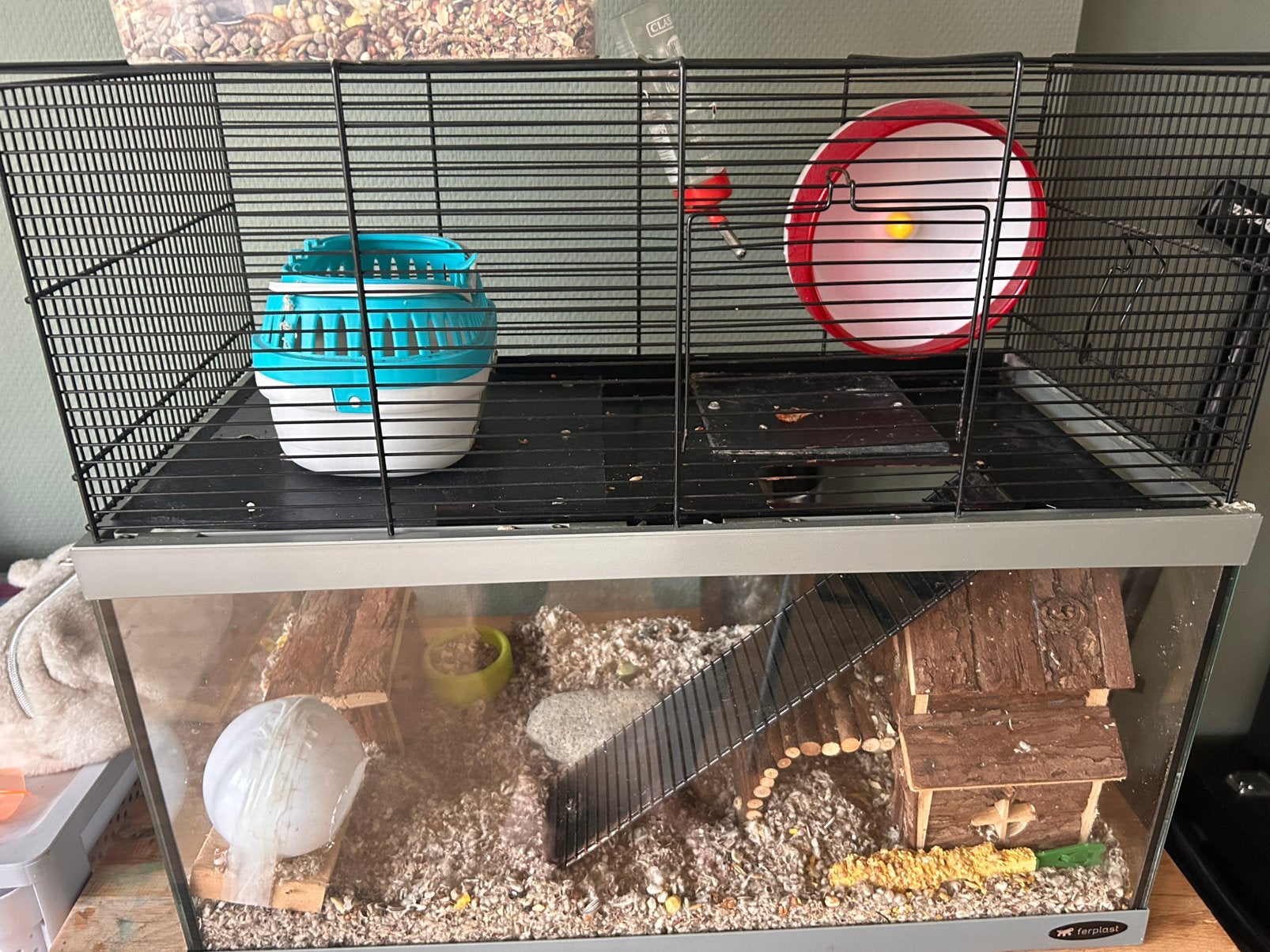 Hamster / ratjes hok, Dieren en Toebehoren, Zo goed als nieuw, Ophalen, Minder dan 60 cm, Hok