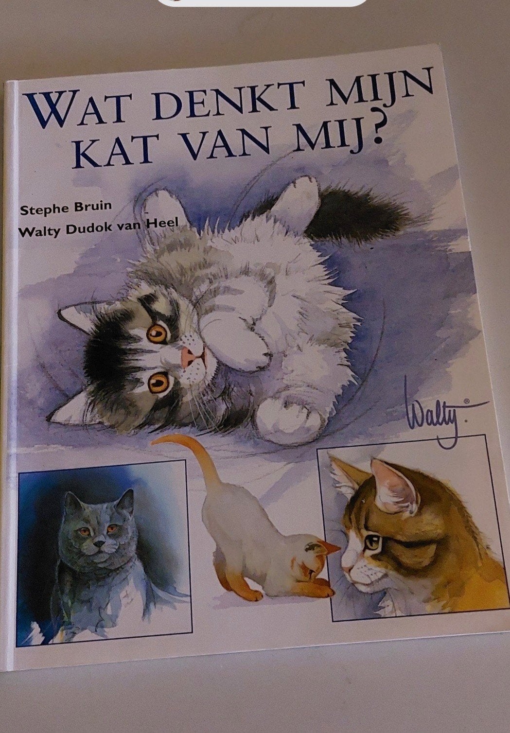 Te Koop Nw Katten Boek Walty Dudoc  nu 12.50 Weesp, Ophalen of Verzenden, Katten, Walty Dudoc van Heel