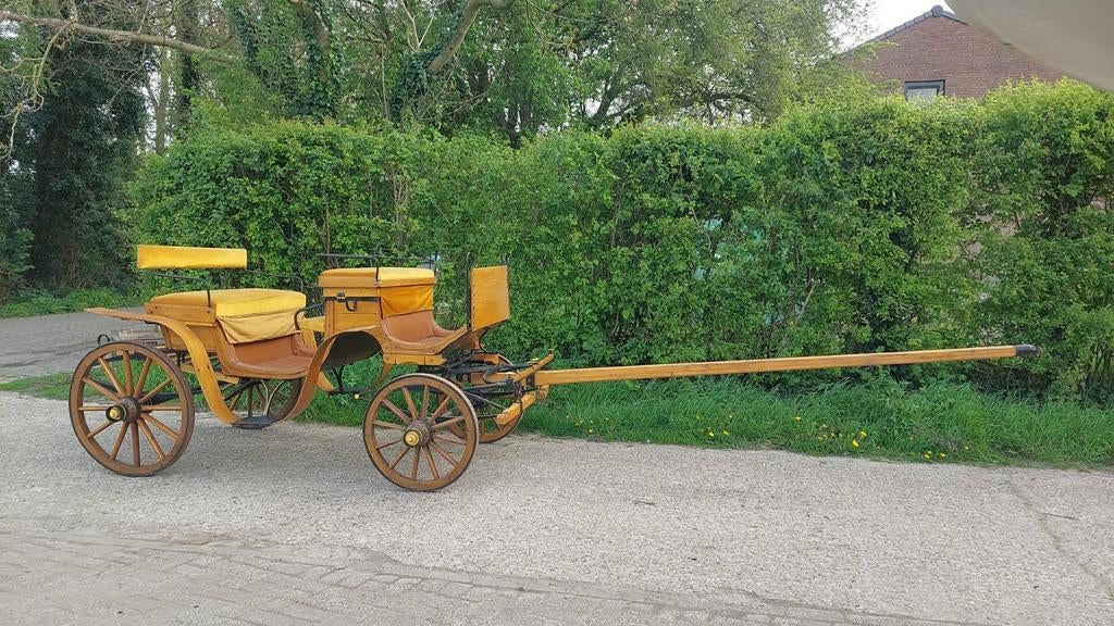 Phaeton 125 jaar oud, Dieren en Toebehoren, Rijtuigen en Koetsen, Gebruikt, Overige typen, Paard