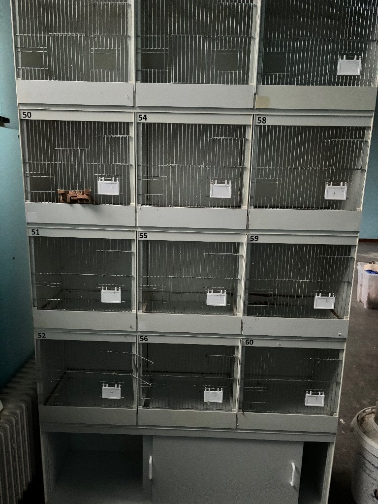 broedkooien, Dieren en Toebehoren, Ophalen, Gebruikt, Kunststof, Broedkooi of Kweekkooi