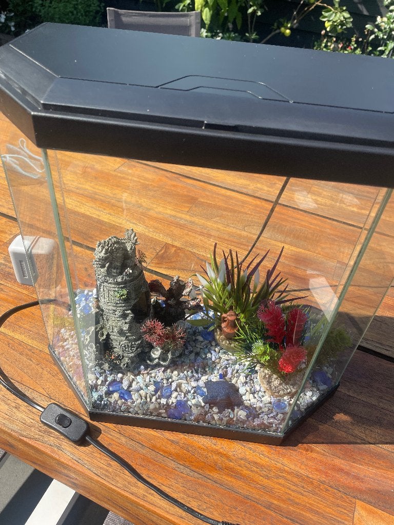 Aquarium 24L (H39Cm x B40cm x D21cm), Ophalen, Inclusief toebehoren, Gebruikt, Leeg aquarium