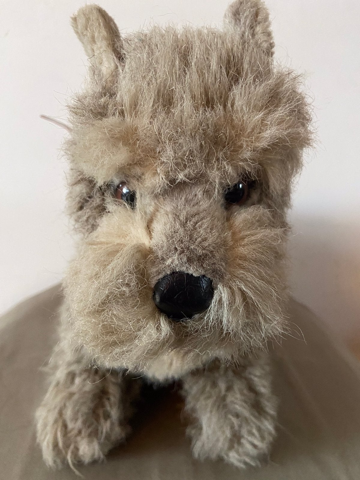 Steiff Schnautzer ‘Cosy Schnauz’, 3625,05, Ophalen of Verzenden, Zo goed als nieuw, Stoffen beer, Steiff