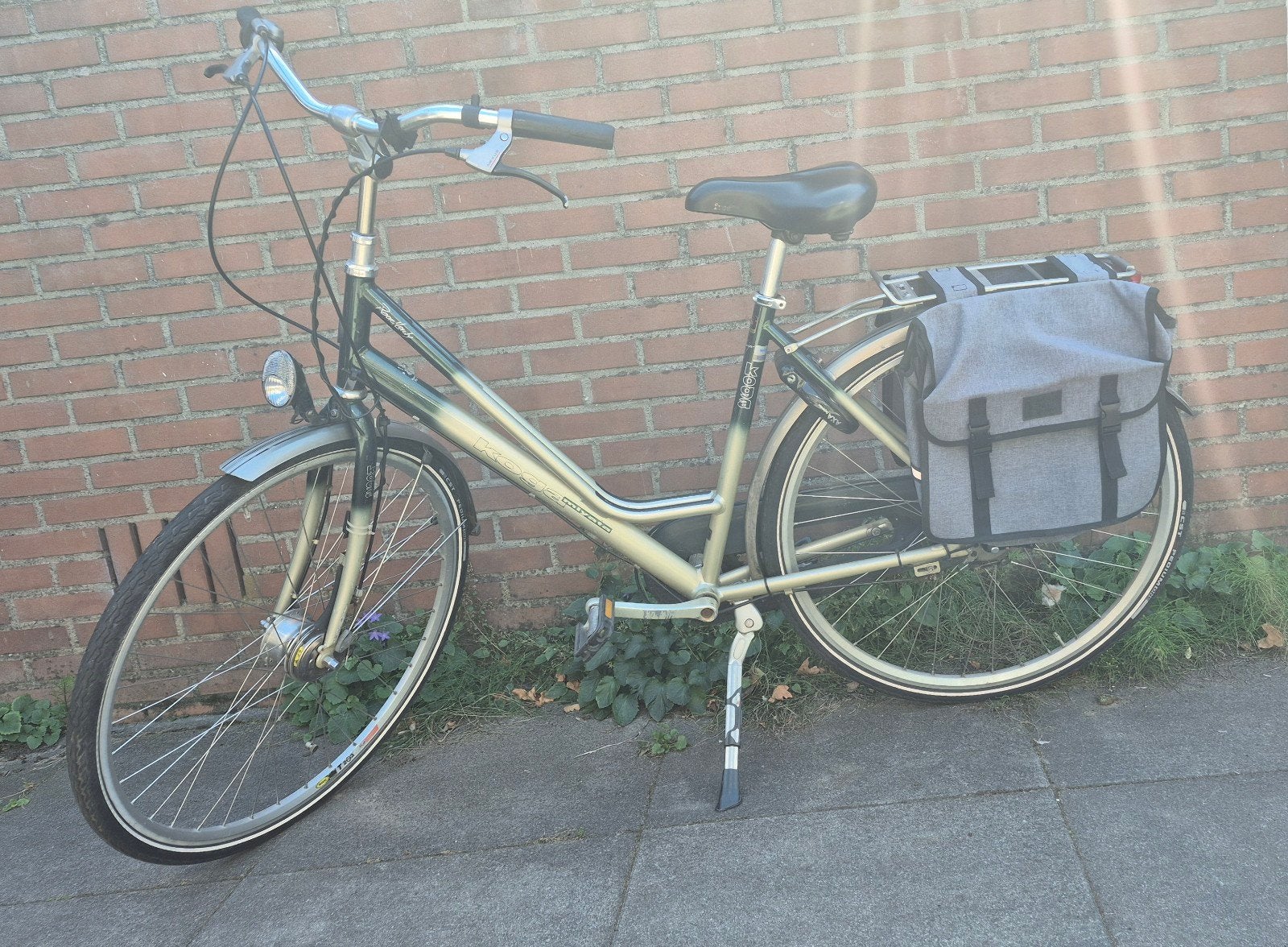 Damesfiets met lage instap en fietstassen, Velgrem, Ophalen, Overige merken, 53 tot 56 cm