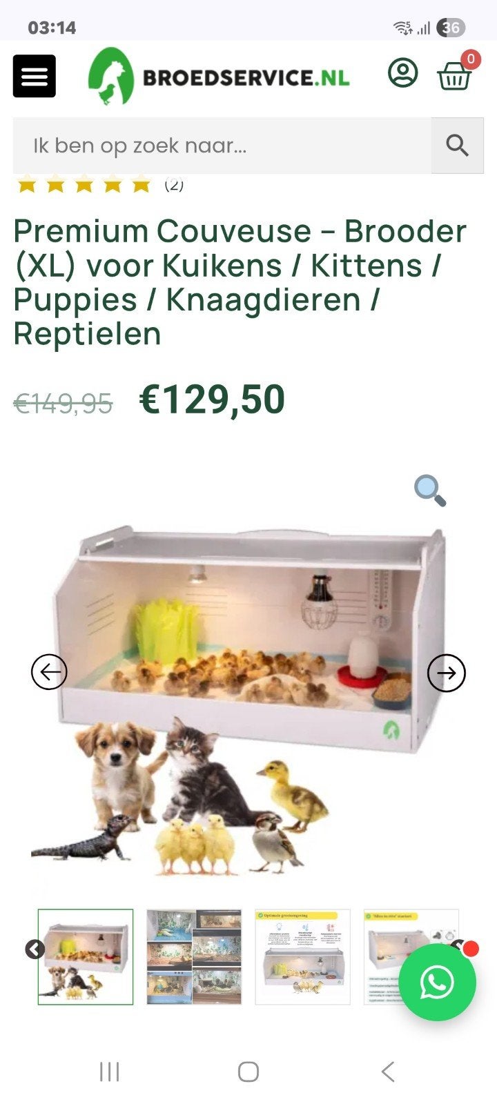 brooder xl opfok couveuse vogeltjes reptiel kwartels kuikens, Ophalen of Verzenden, Nieuw, Overige typen