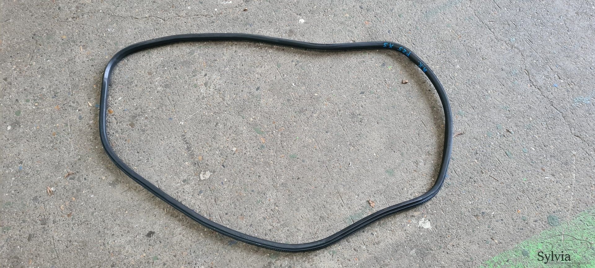 Portier deurrubber achterzijde BMW X3 F25 7275482, Gebruikt, -, -, Ophalen of Verzenden