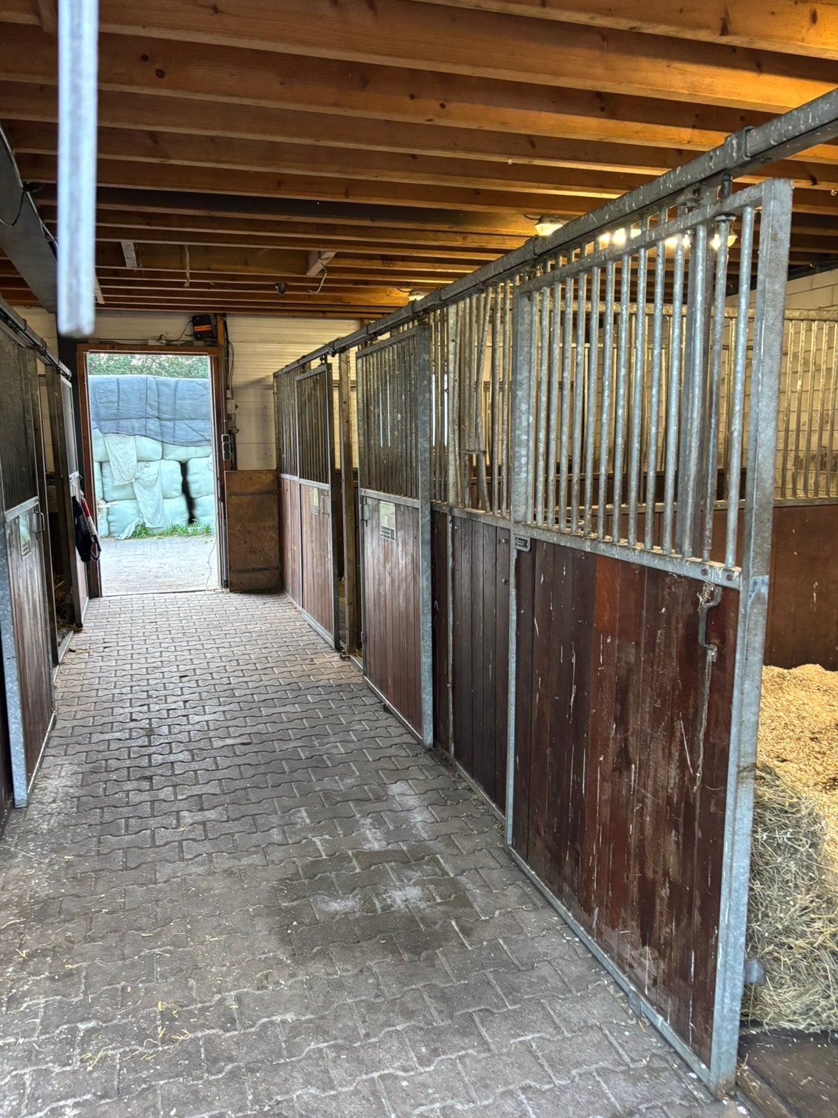 2 stalwanden voor en tussenwand, Dieren en Toebehoren