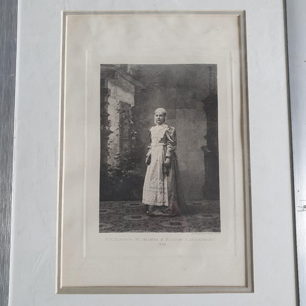 Steendruken van koningin wilhamina 5 stuks, Ophalen