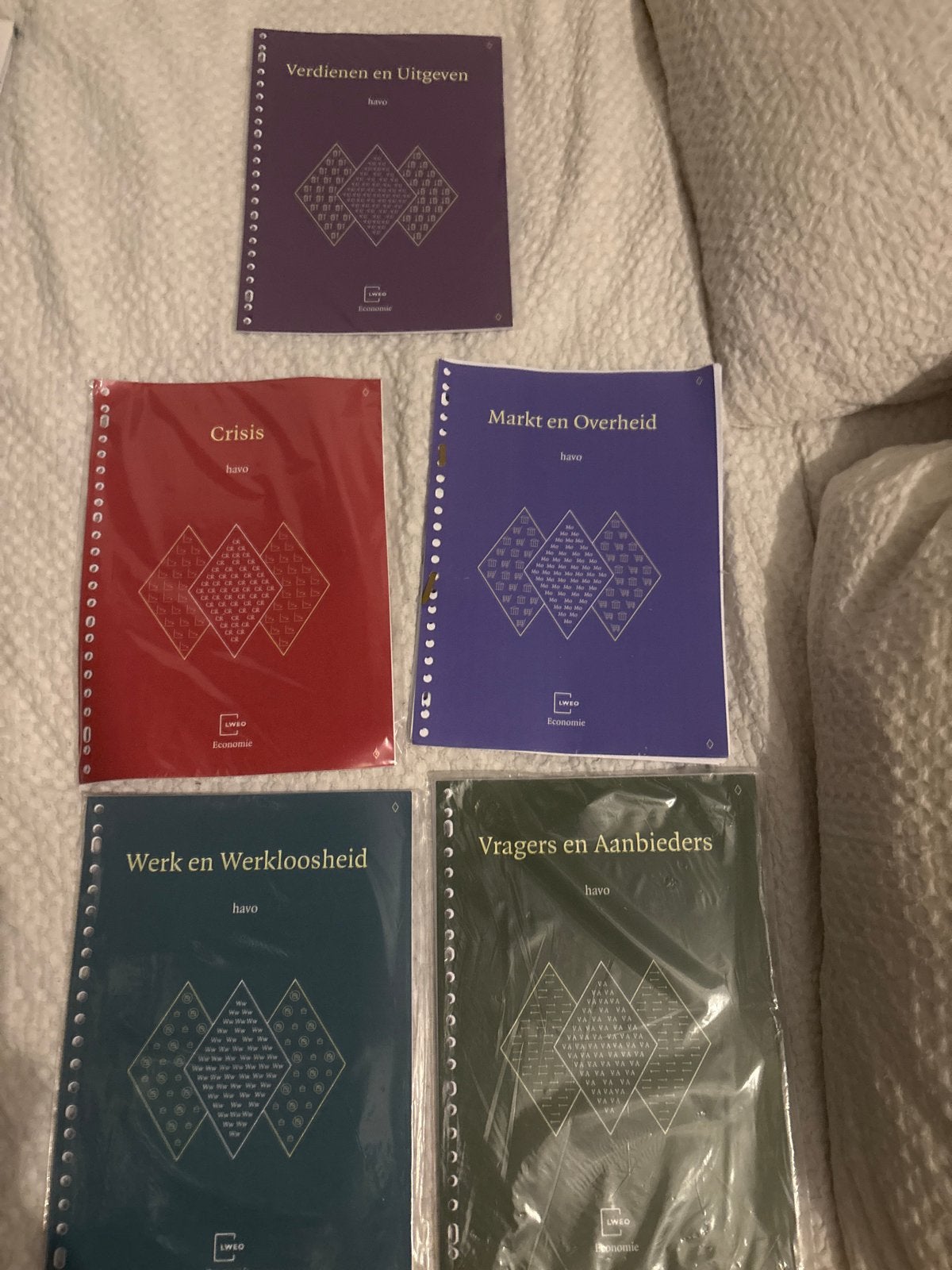 Economie boeken havo 5 LWO - Onbeschreven, Ophalen of Verzenden, Zo goed als nieuw, Overige niveaus