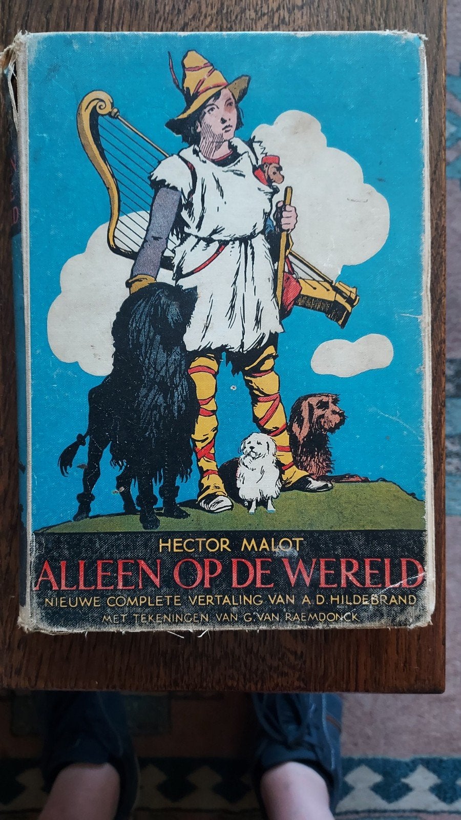 Alleen op de Wereld - Hector Malot (Geïllustreerd), Ophalen of Verzenden, Gelezen, Hector Malot, Fictie algemeen